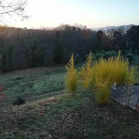 Apartment Il Falco